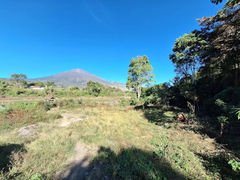 IMG 0998 768x576