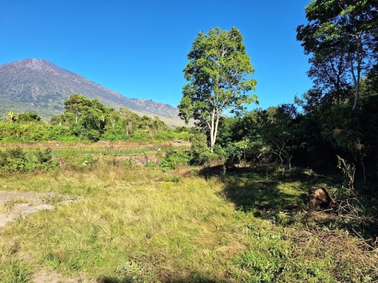 IMG 0999 768x576