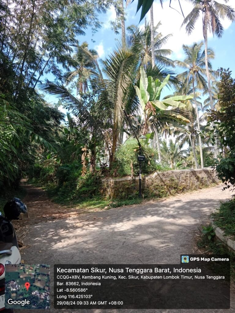 IMG 1005 768x1024