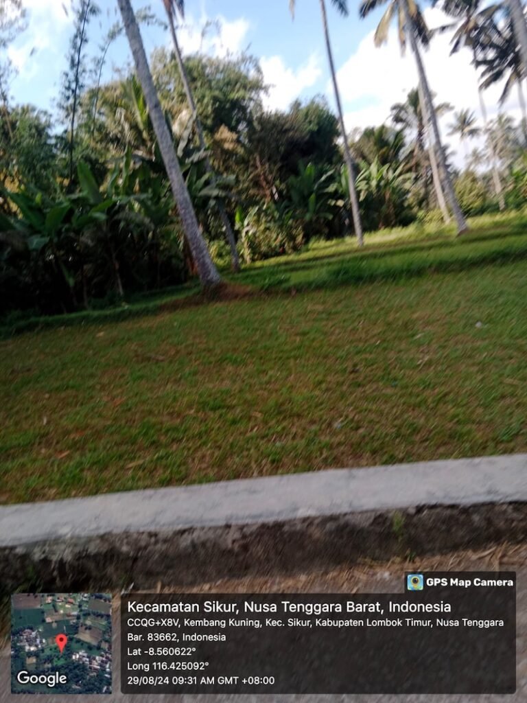 IMG 1008 768x1024