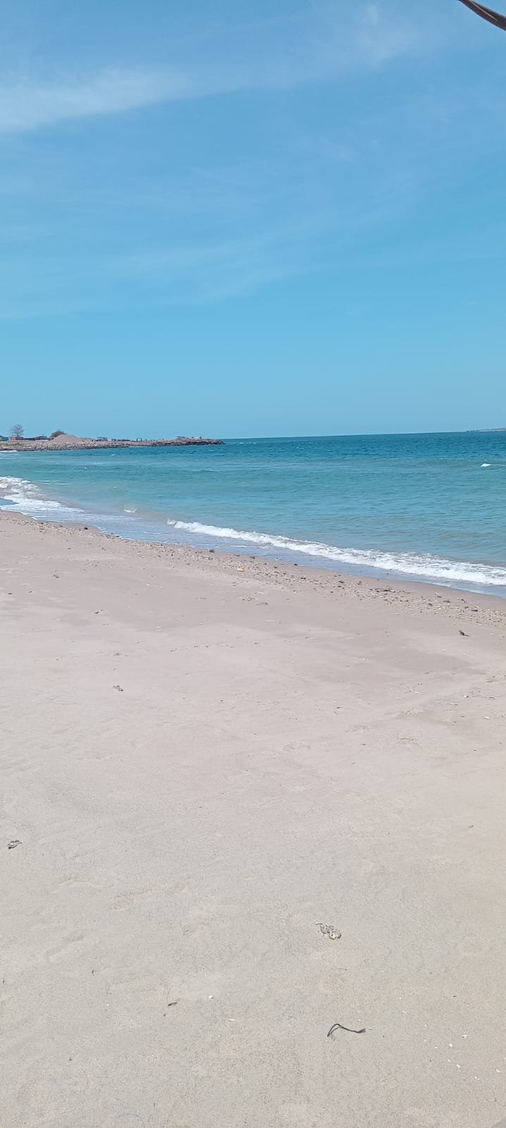 PHOTO 2026 05 23 23 33 47
