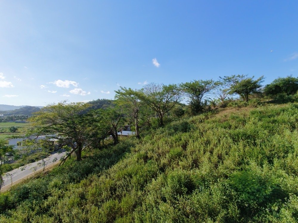 dji fly 20260710 154650 0142 1783675144933 photo