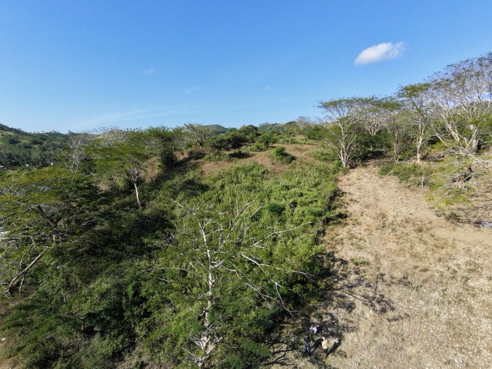 dji fly 20260710 154726 0145 1783675144847 photo