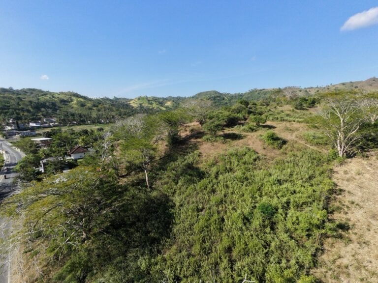 dji fly 20260710 154732 0146 1783675144817 photo 768x576