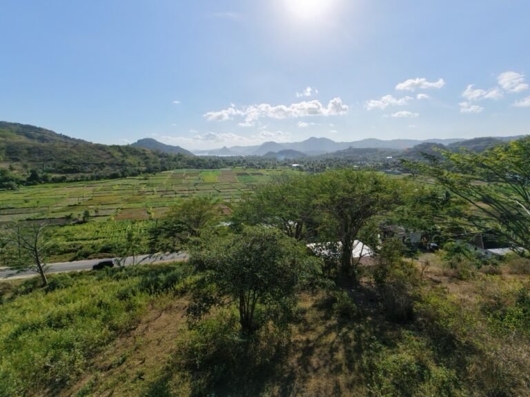 dji fly 20260710 154812 0149 1783675131492 photo 768x576