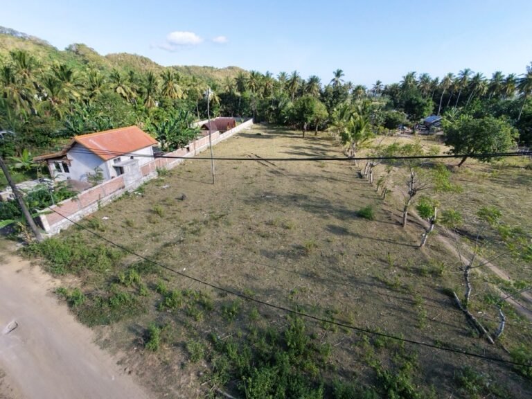 dji fly 20260710 160316 0153 1783675129144 photo 768x576
