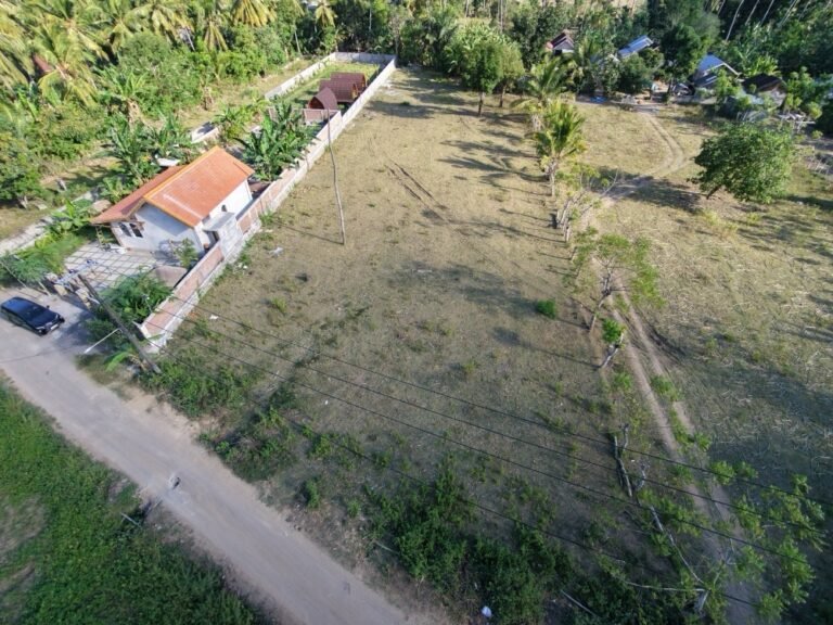 dji fly 20260710 160322 0155 1783675128118 photo 768x576