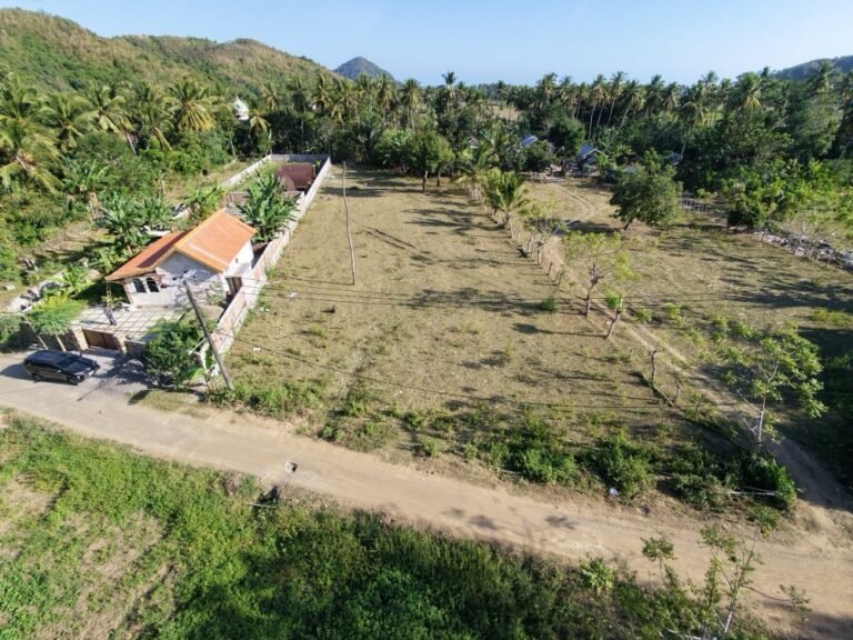 dji fly 20260710 160338 0157 1783675127076 photo 768x576