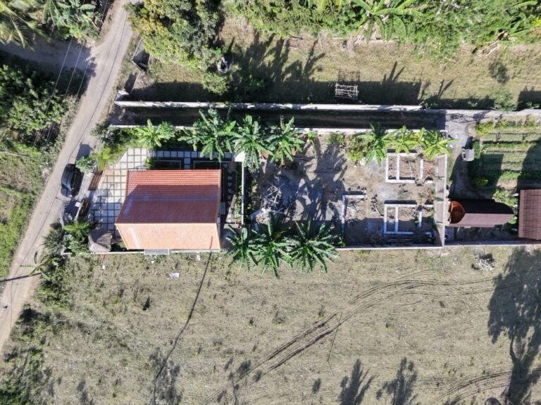 dji fly 20260710 160446 0164 1783675123102 photo 768x576