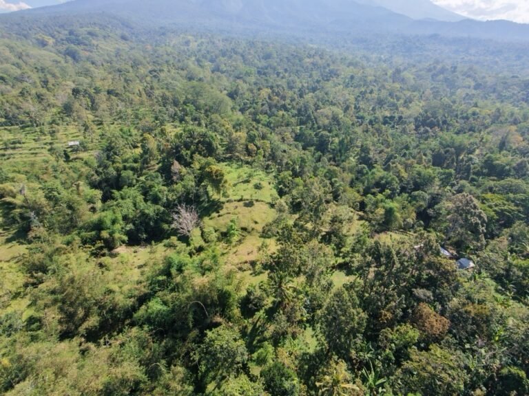 dji fly 20260725 100656 0197 1784945735898 photo 768x576
