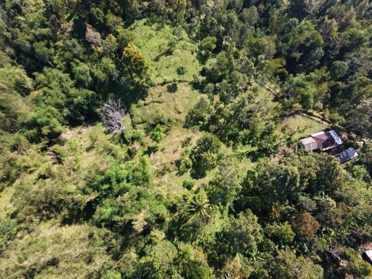 dji fly 20260725 100812 0200 1784945696629 photo 768x576