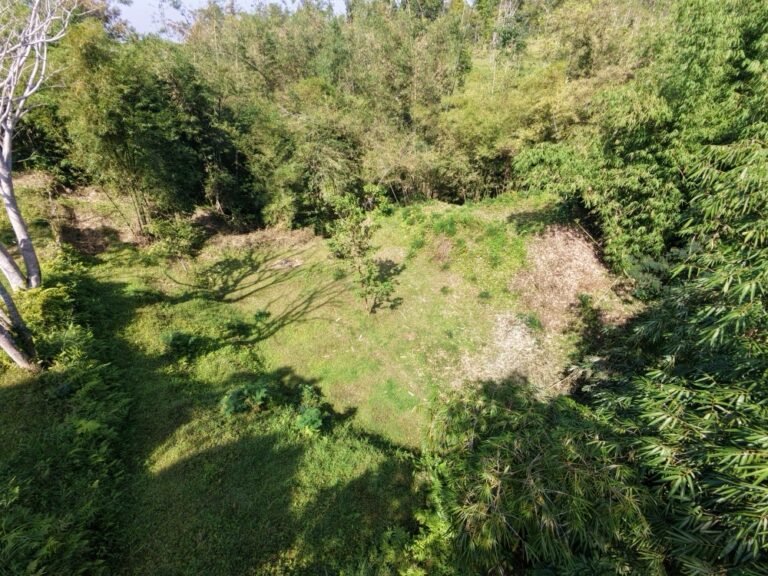 dji fly 20260725 102416 0206 1784946832074 photo 768x576