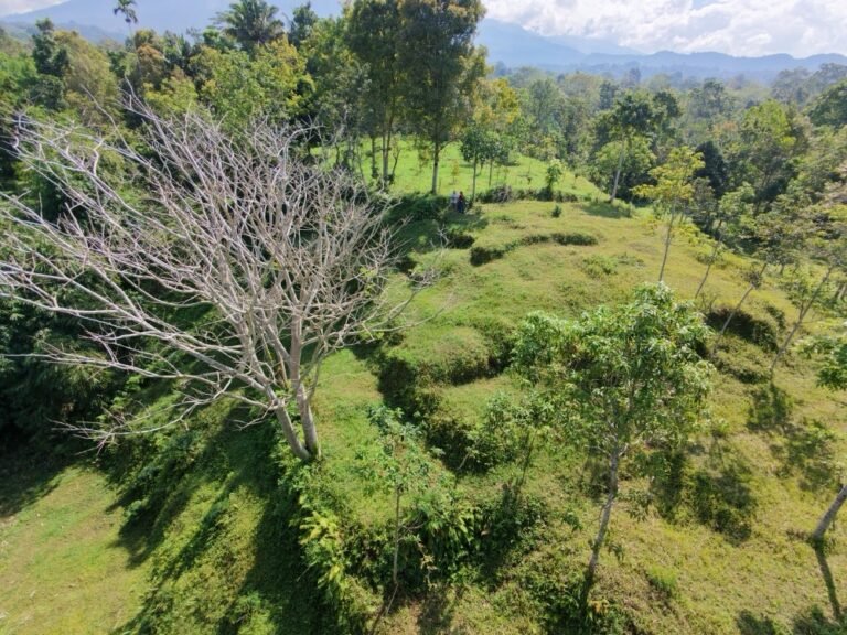 dji fly 20260725 102502 0210 1784946822598 photo 768x576