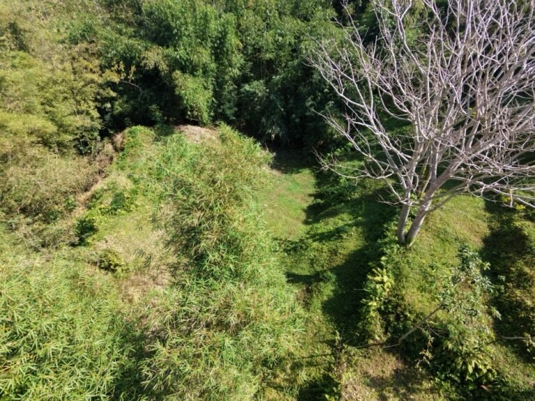 dji fly 20260725 102512 0212 1784946817138 photo 768x576