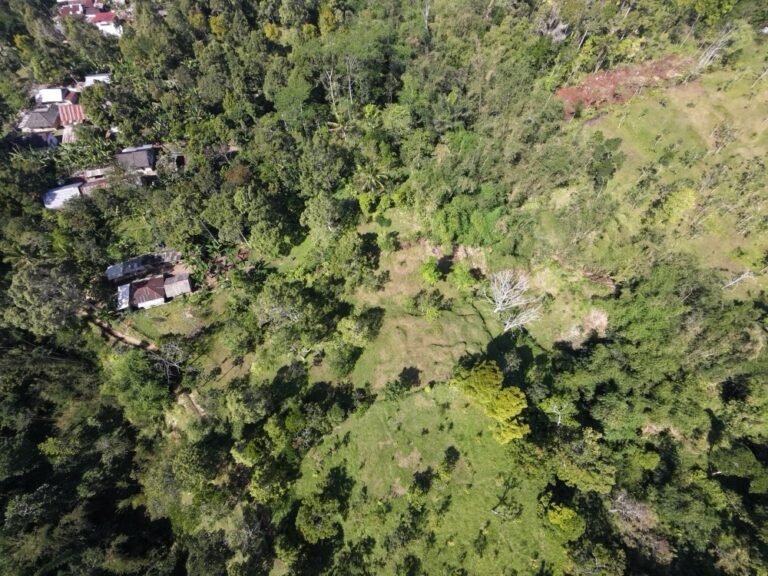 dji fly 20260725 102624 0218 1784946807800 photo 768x576