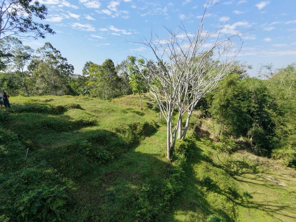 Real photo of the raw Tetebatu hillside land plot