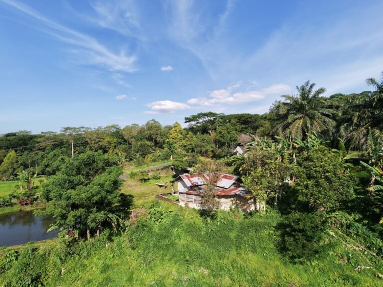 dji fly 20260124 090330 0310 1769216731626 photo beautify 768x576