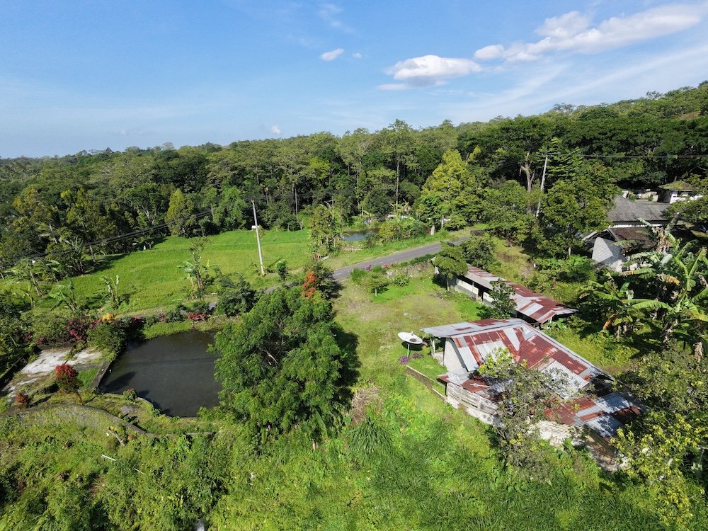 dji fly 20260124 090348 0313 1769216728042 photo beautify