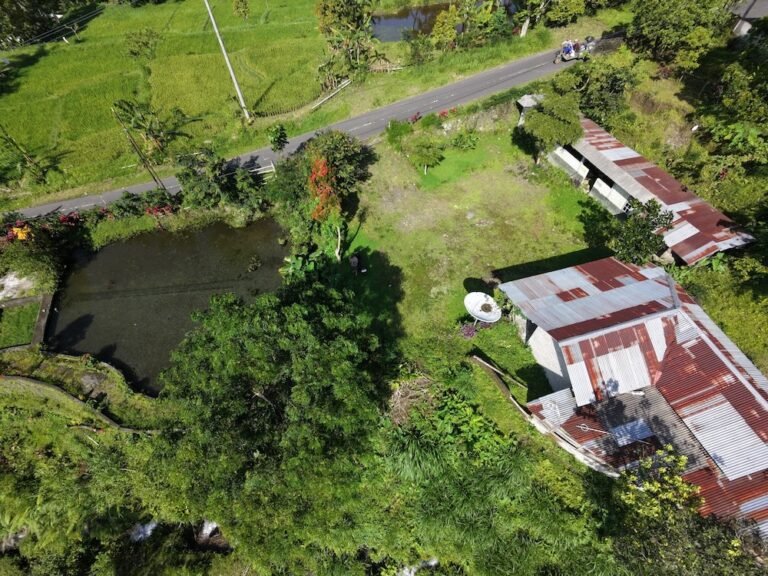 dji fly 20260124 090406 0314 1769216726772 photo beautify 768x576