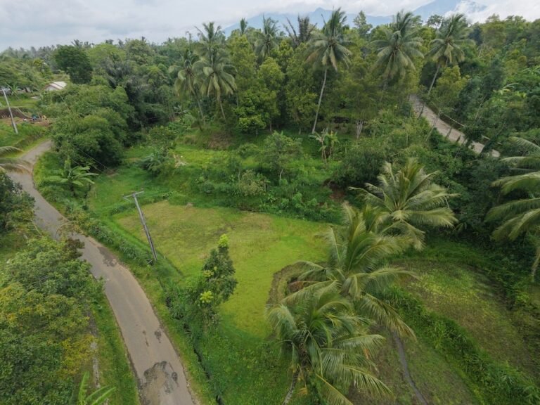 dji fly 20260126 101652 0391 1769394057147 photo beautify 768x576