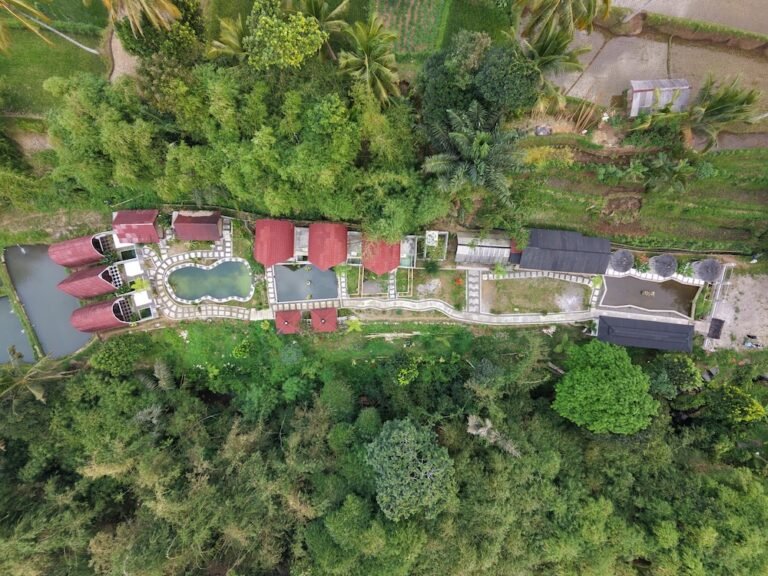 dji fly 20260816 124718 0226 1786856854855 photo 768x576