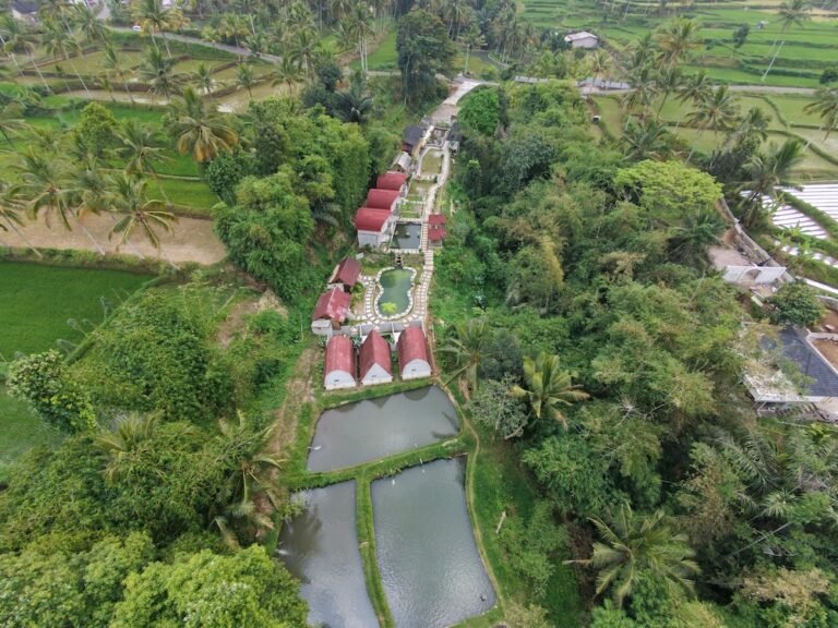 dji fly 20260816 124756 0228 1786856854258 photo 768x576