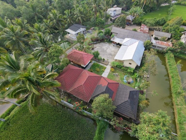 dji fly 20260816 165434 0248 1786870991971 photo 768x576
