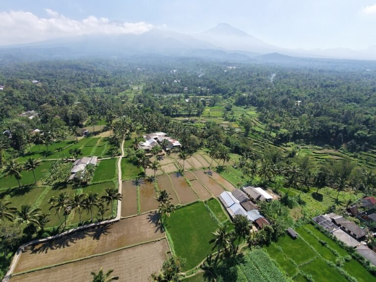 dji fly 20260818 105856 0270 1787022562218 photo 768x576