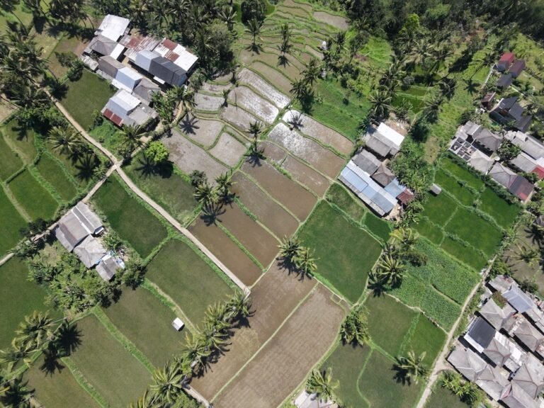dji fly 20260818 110320 0273 1787022461724 burst 768x576