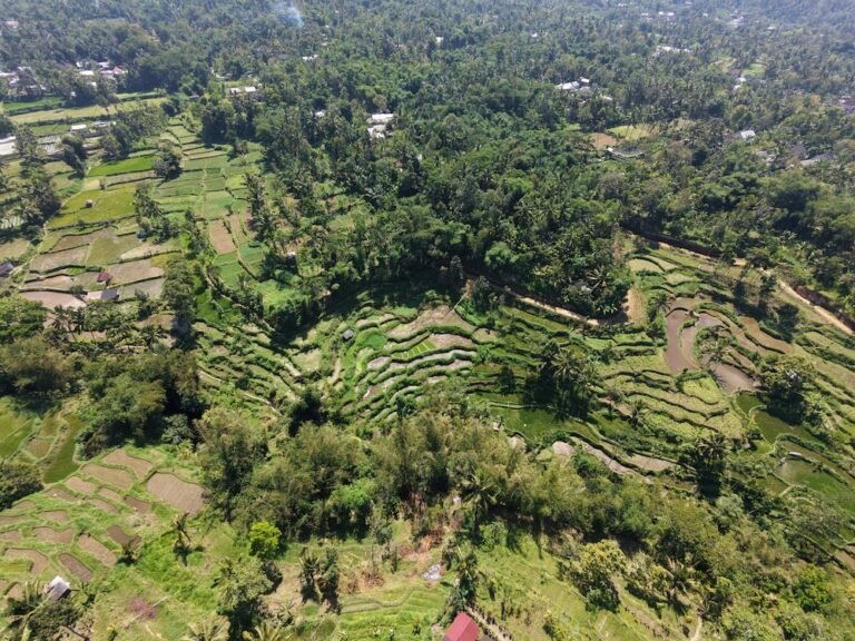 dji fly 20260818 110412 0279 1787022454009 photo 768x576