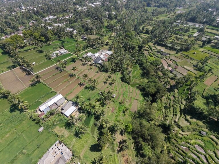 dji fly 20260818 110418 0280 1787022452619 photo 768x576