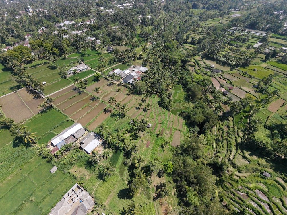 dji fly 20260818 110418 0280 1787022452619 photo