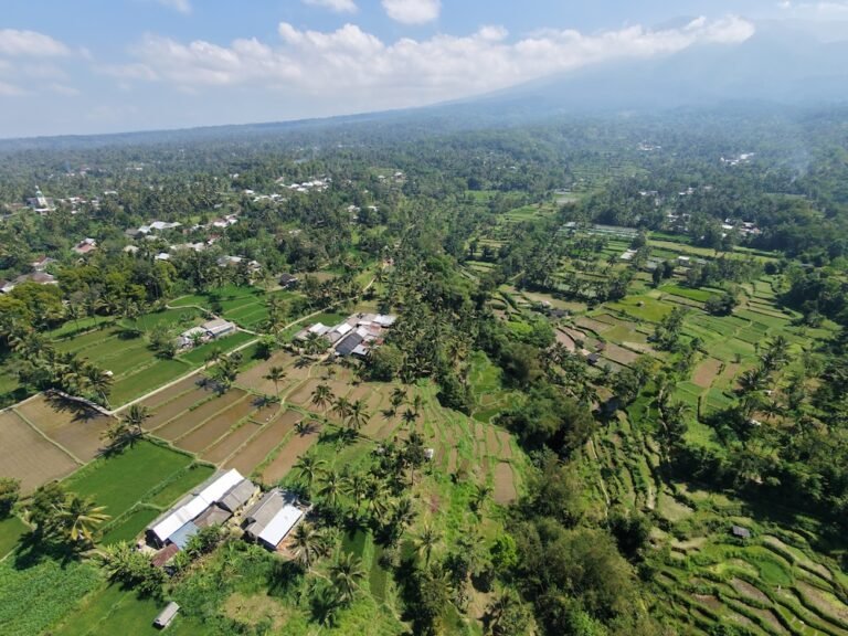 dji fly 20260818 110438 0281 1787022451387 photo 768x576