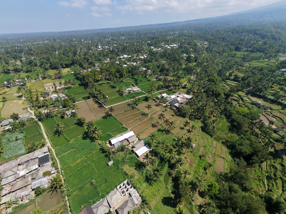 dji fly 20260818 110444 0282 1787022450307 photo