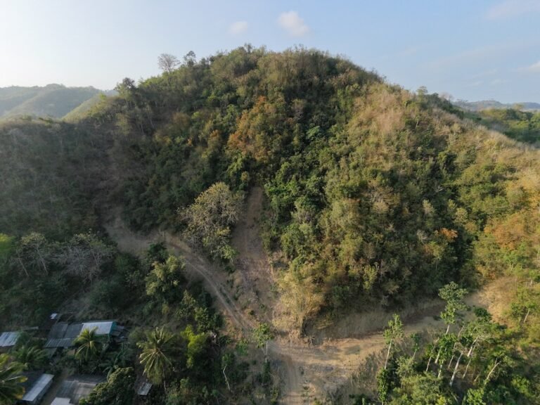 dji fly 20260820 171540 0335 1787223520576 photo 768x576