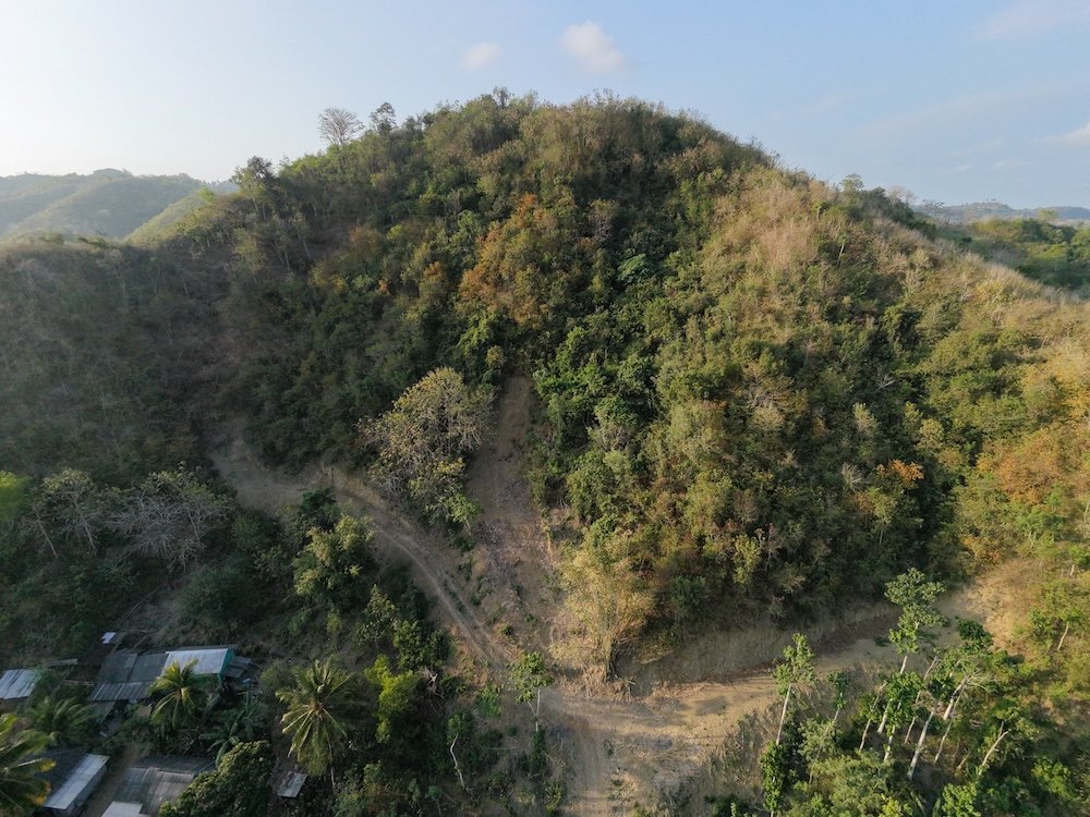 dji fly 20260820 171540 0335 1787223520576 photo