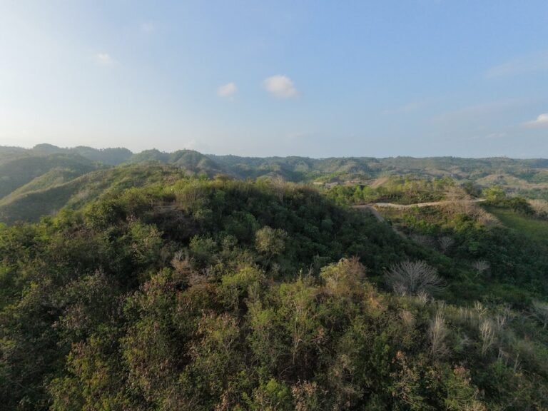 dji fly 20260820 171618 0338 1787223520528 photo 768x576