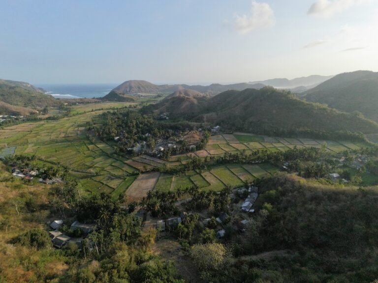 dji fly 20260820 171644 0345 1787223520475 photo 768x576