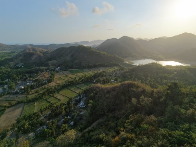 dji fly 20260820 171650 0346 1787223520450 photo 768x576