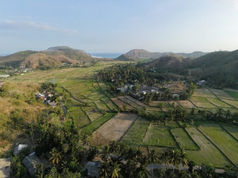 dji fly 20260820 171702 0347 1787223520399 photo 768x576