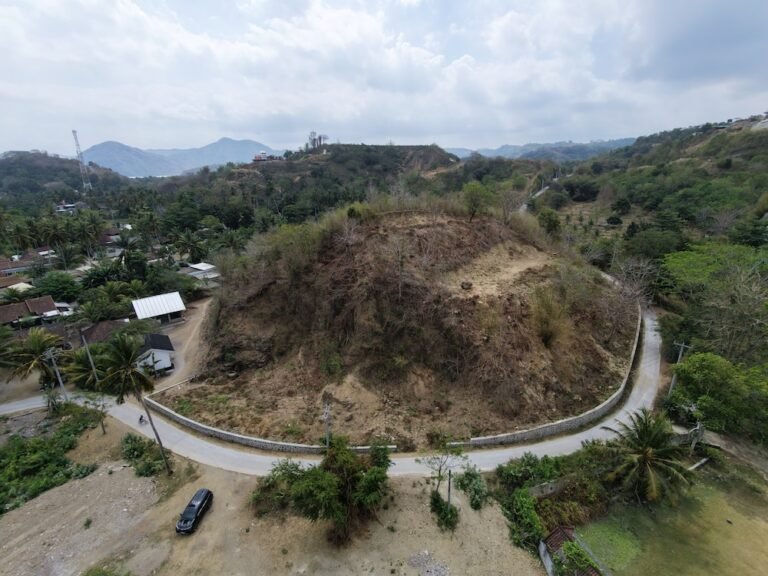 dji fly 20260821 140656 0368 1787293275437 photo 768x576