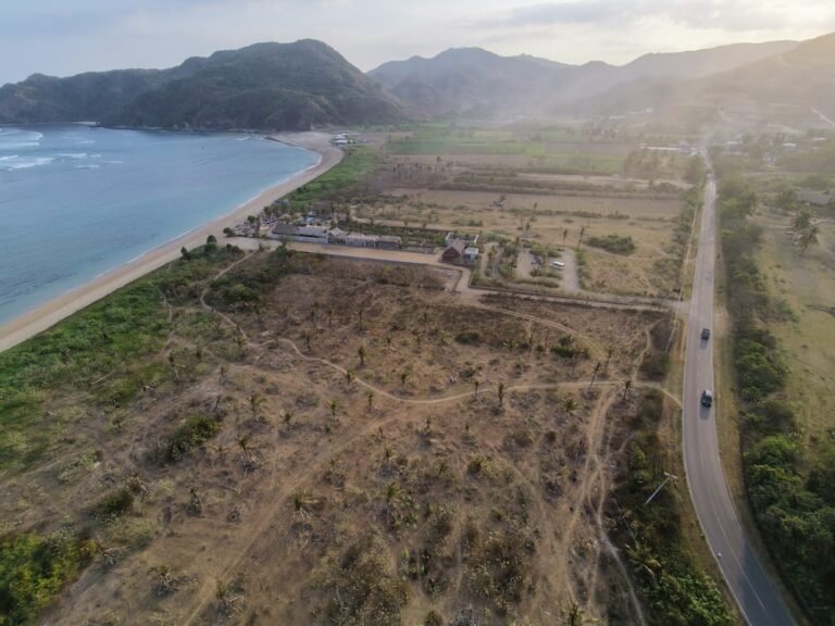 dji fly 20260821 172042 0377 1787320713856 photo 768x576