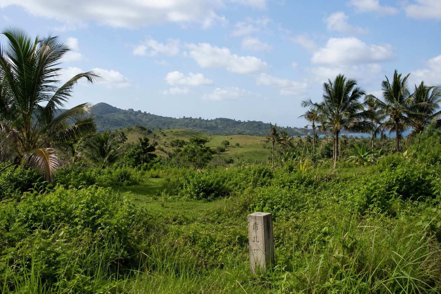 Undeveloped land plot in Lombok with a concrete boundary marker (patok) in the foreground