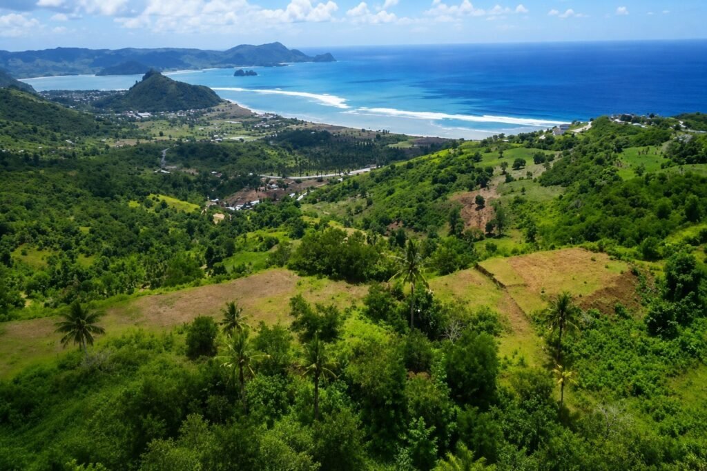 torok land sale enhanced 1024x683